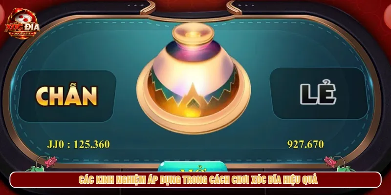 Cách chơi tổng hợp kinh nghiệm cá cược dành cho người mới