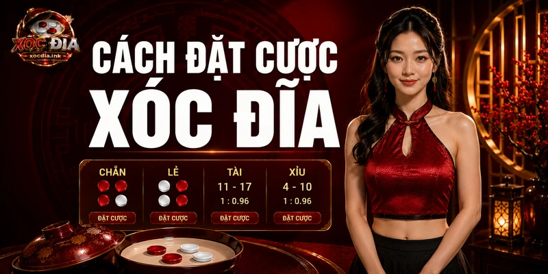 Cách Đặt Cược Xóc Đĩa Online Và Những Lỗi Cần Tránh Cách Đặt Cược Xóc Đĩa Online Và Những Lỗi Cần Tránh