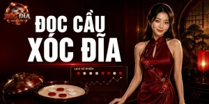 Đọc cầu xóc đĩa