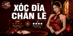 Xóc Đĩa Chẵn Lẻ Là Gì? Cách Tính Kết Quả Chính Xác