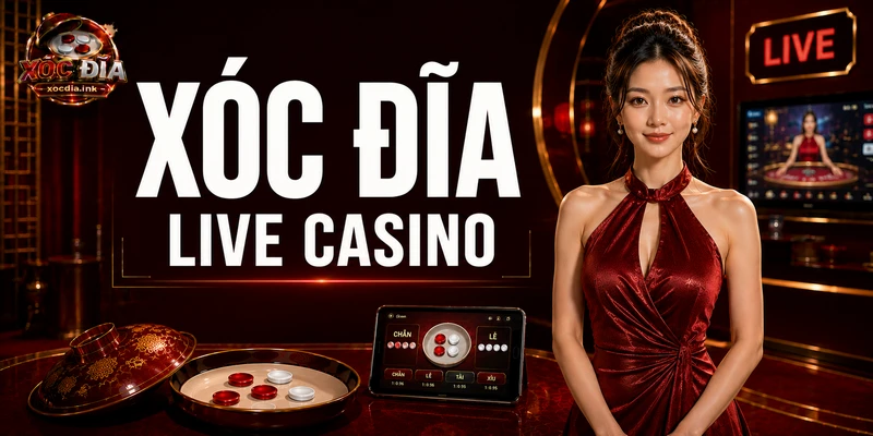 Xóc Đĩa Live Casino Là Gì? Trải Nghiệm Bàn Chơi Trực Tiếp Xóc Đĩa Live Casino Là Gì? Trải Nghiệm Bàn Chơi Trực Tiếp